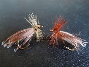 Defoe Caddis