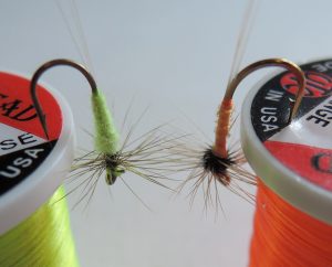 Mosquito